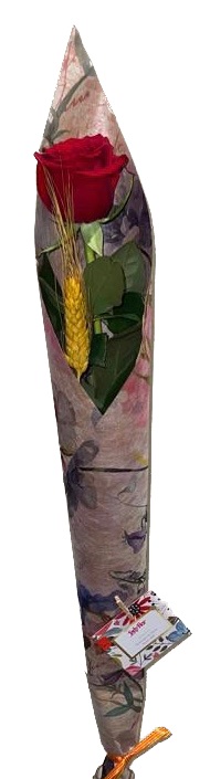 Cono kraft estampado Nº3