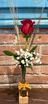 Arreglo Sant Jordi nº 5