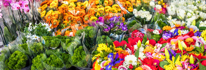 Flor nacional y de Holanda 